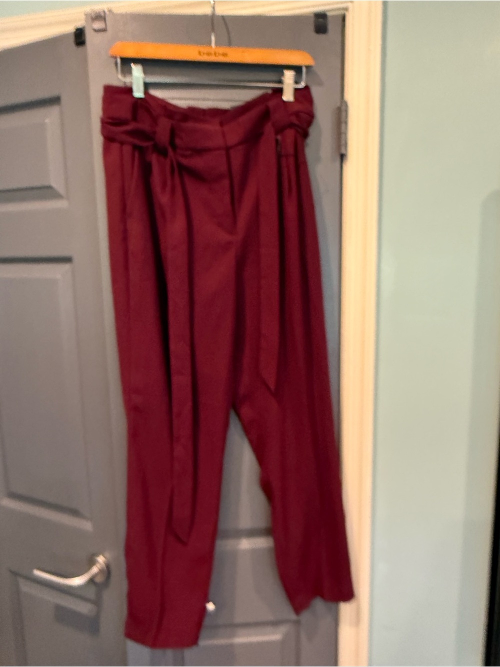 Express- Work Pants